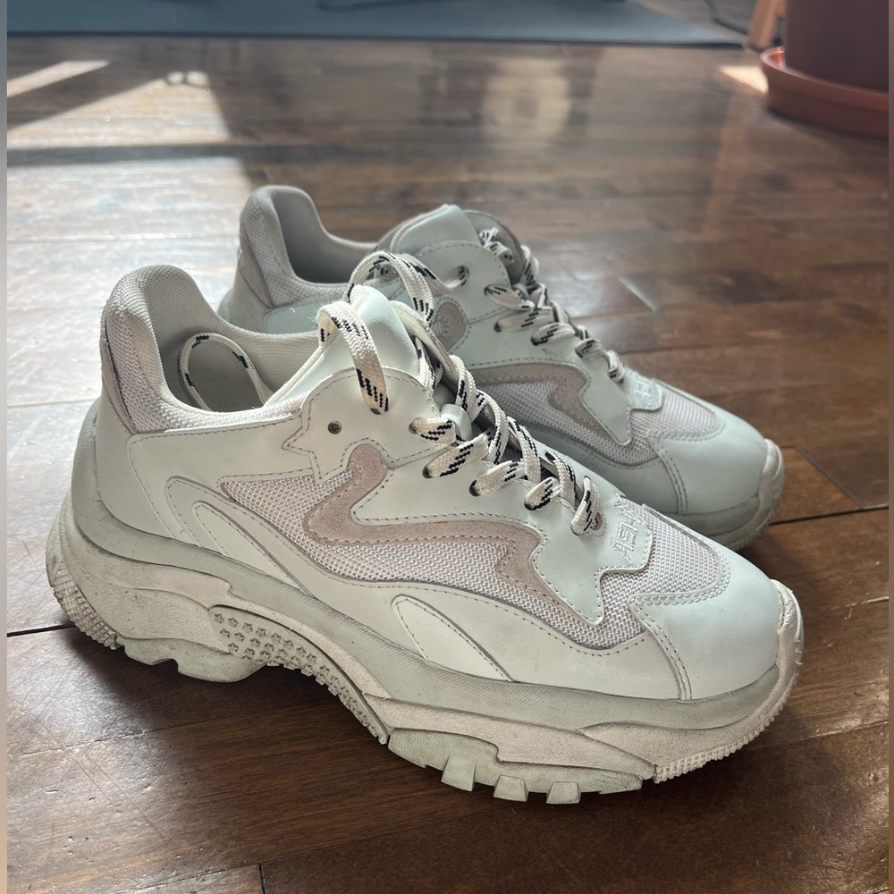 Ash Addict Sneakers size 37